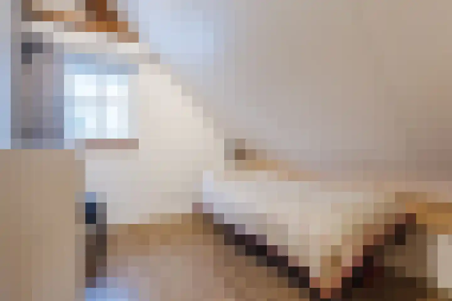 Biezenburgseweg 2 a Echteld thumbnail 27