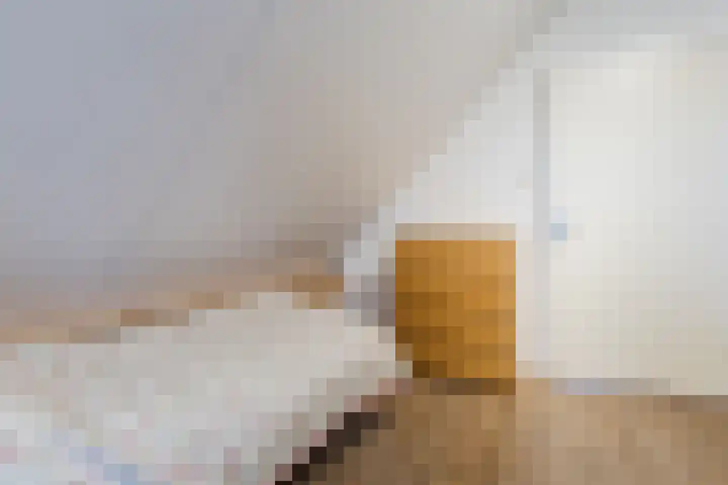 Biezenburgseweg 2 a Echteld thumbnail 28