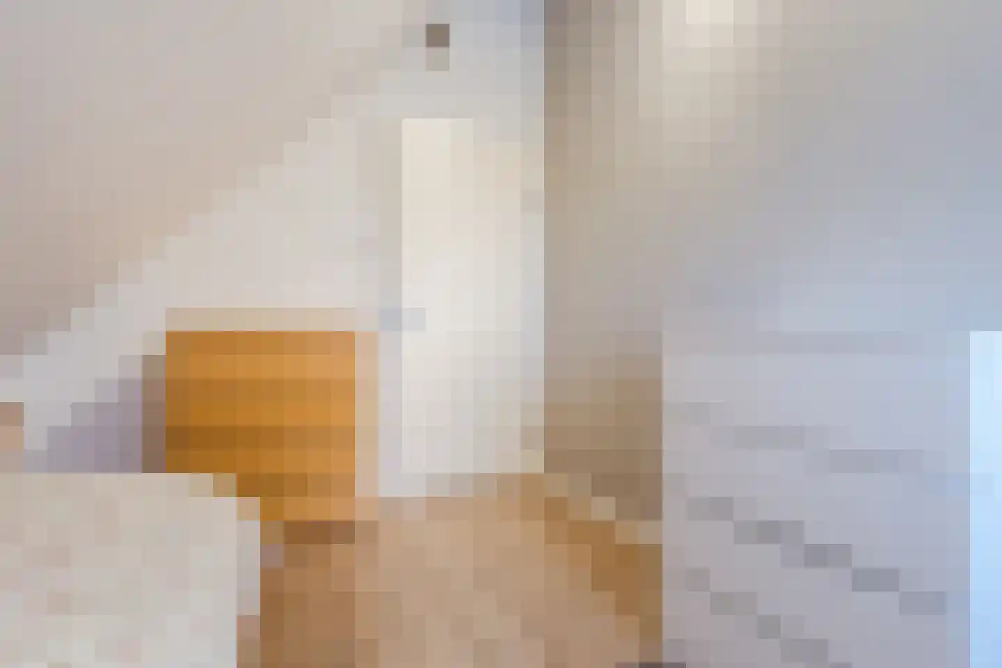 Biezenburgseweg 2 a Echteld thumbnail 29