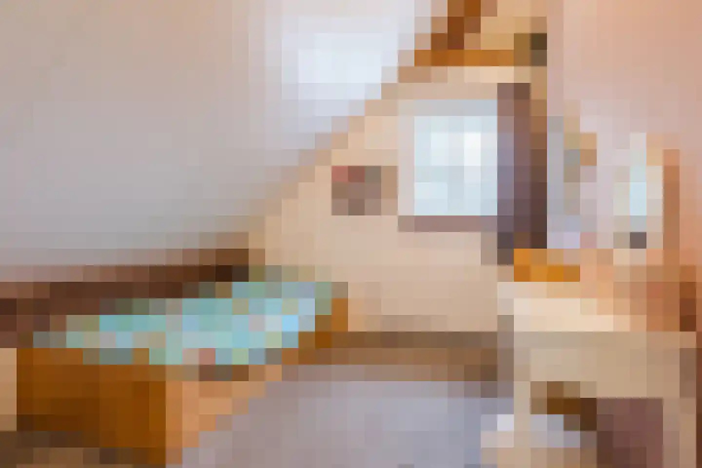 Biezenburgseweg 2 a Echteld thumbnail 30