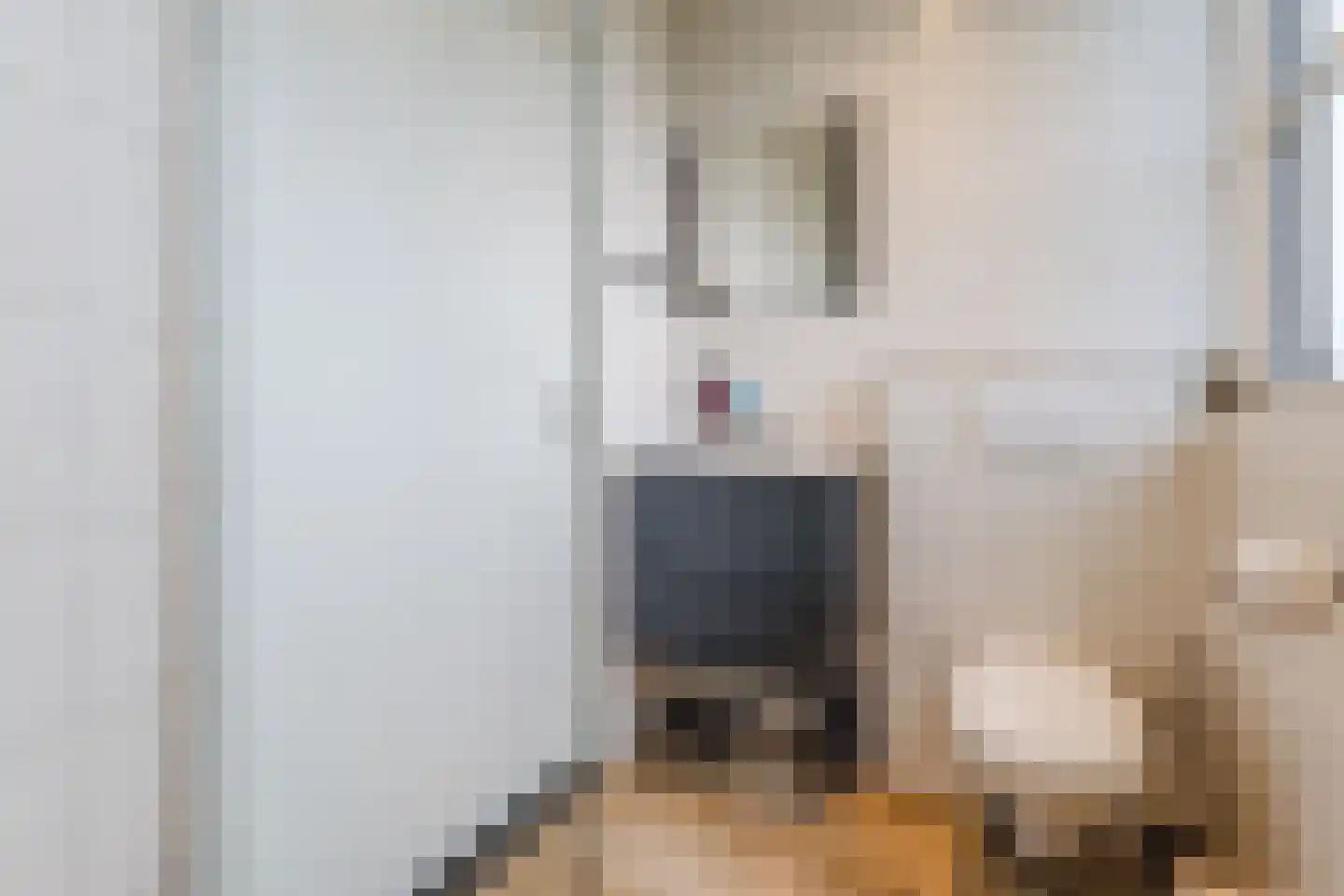 Biezenburgseweg 2 a Echteld thumbnail 34