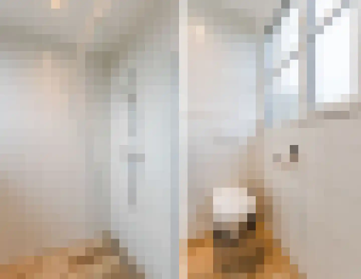Biezenburgseweg 2 a Echteld thumbnail 35