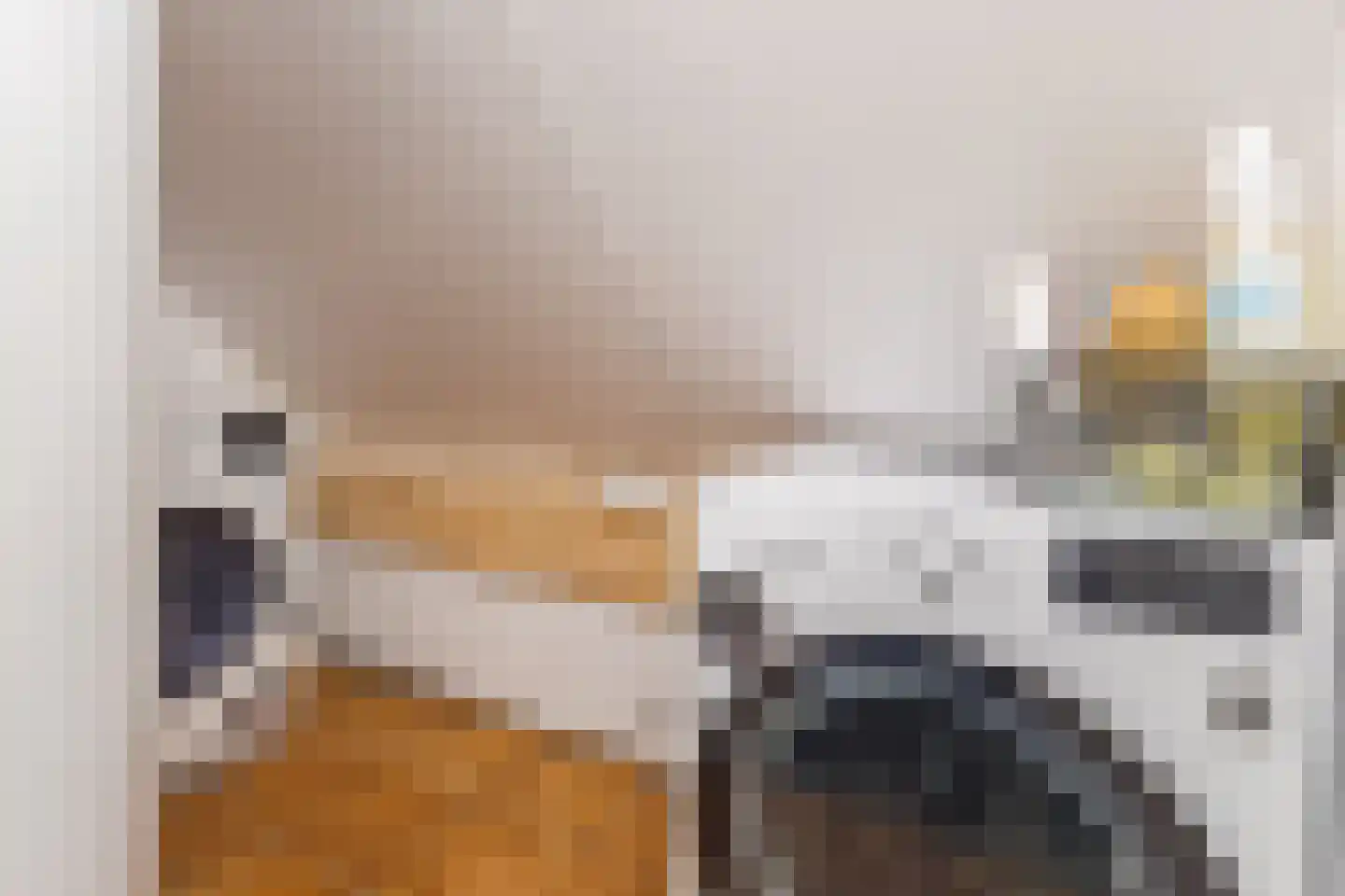 Biezenburgseweg 2 a Echteld thumbnail 36