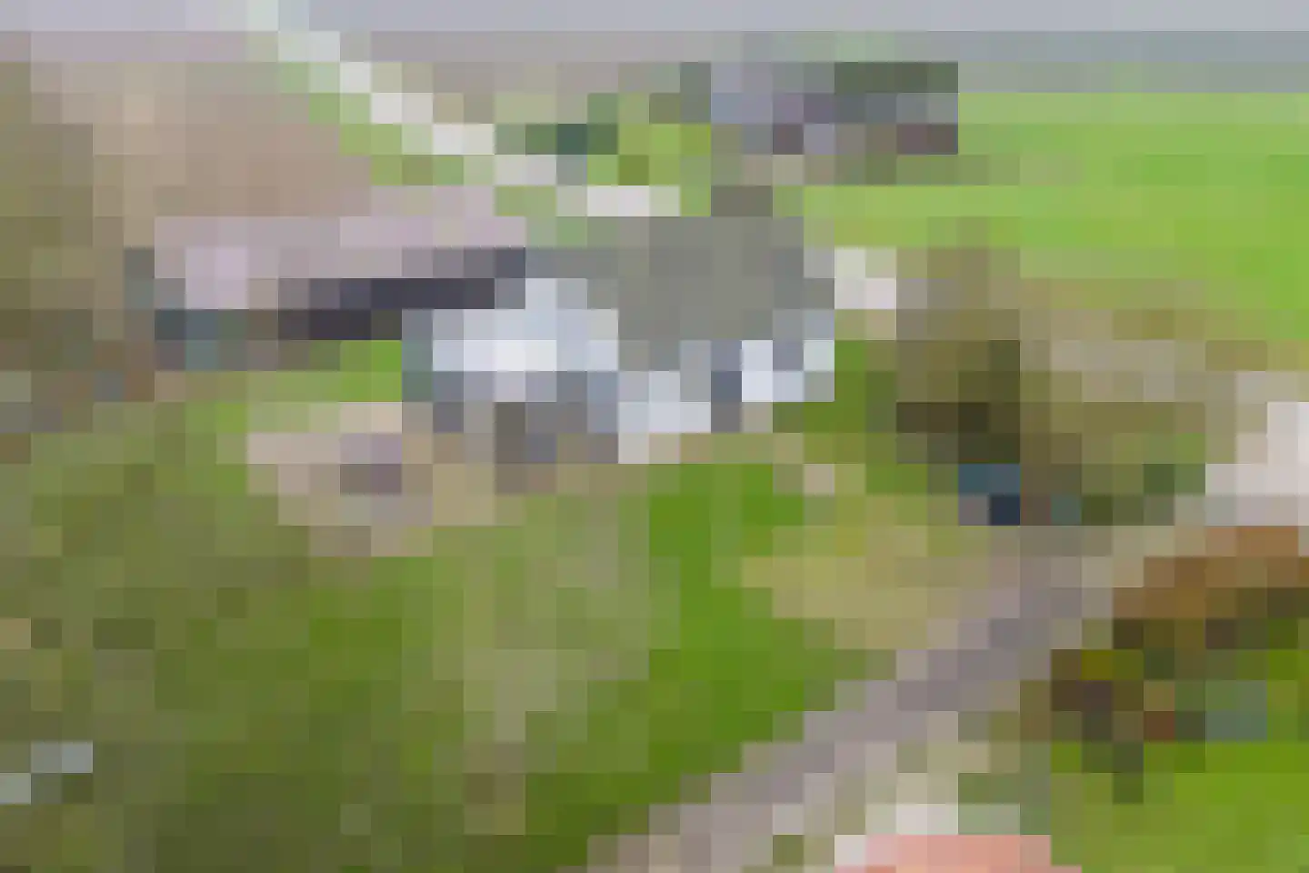 Biezenburgseweg 2 a Echteld thumbnail 43