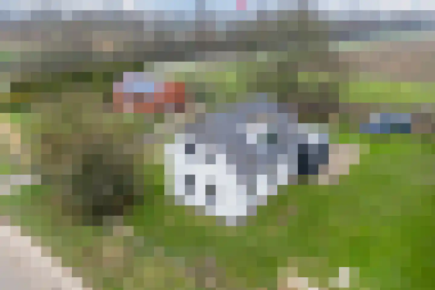 Biezenburgseweg 2 a Echteld thumbnail 44