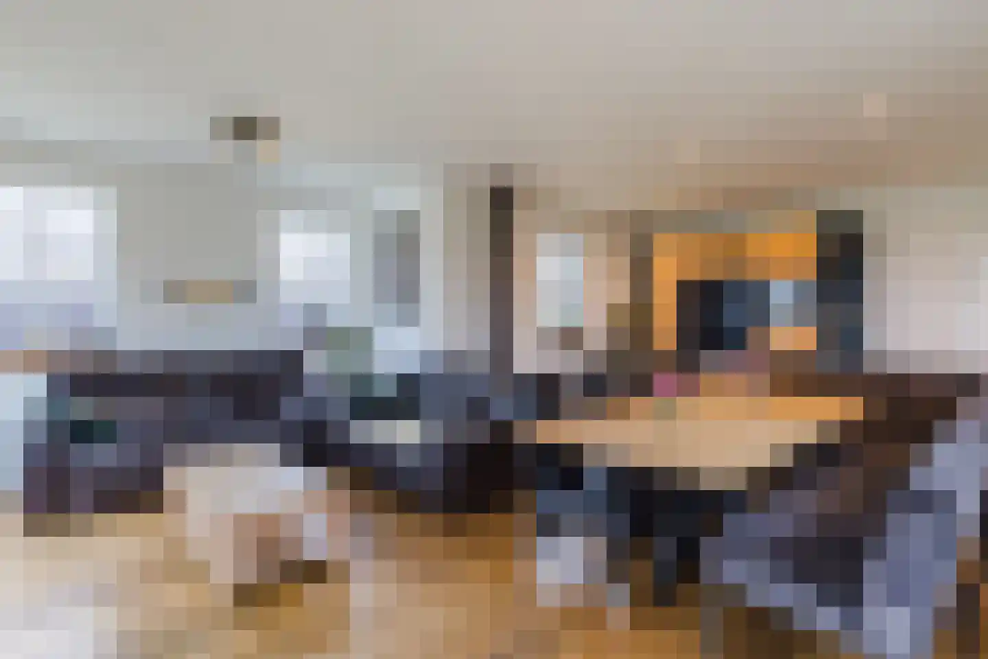 Biezenburgseweg 2 a Echteld thumbnail 8