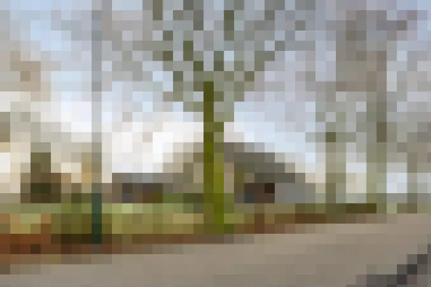 Biezendijk 15 in Veghel
