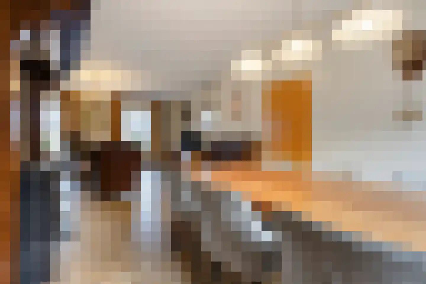 Biezendijk 15 Veghel thumbnail 11