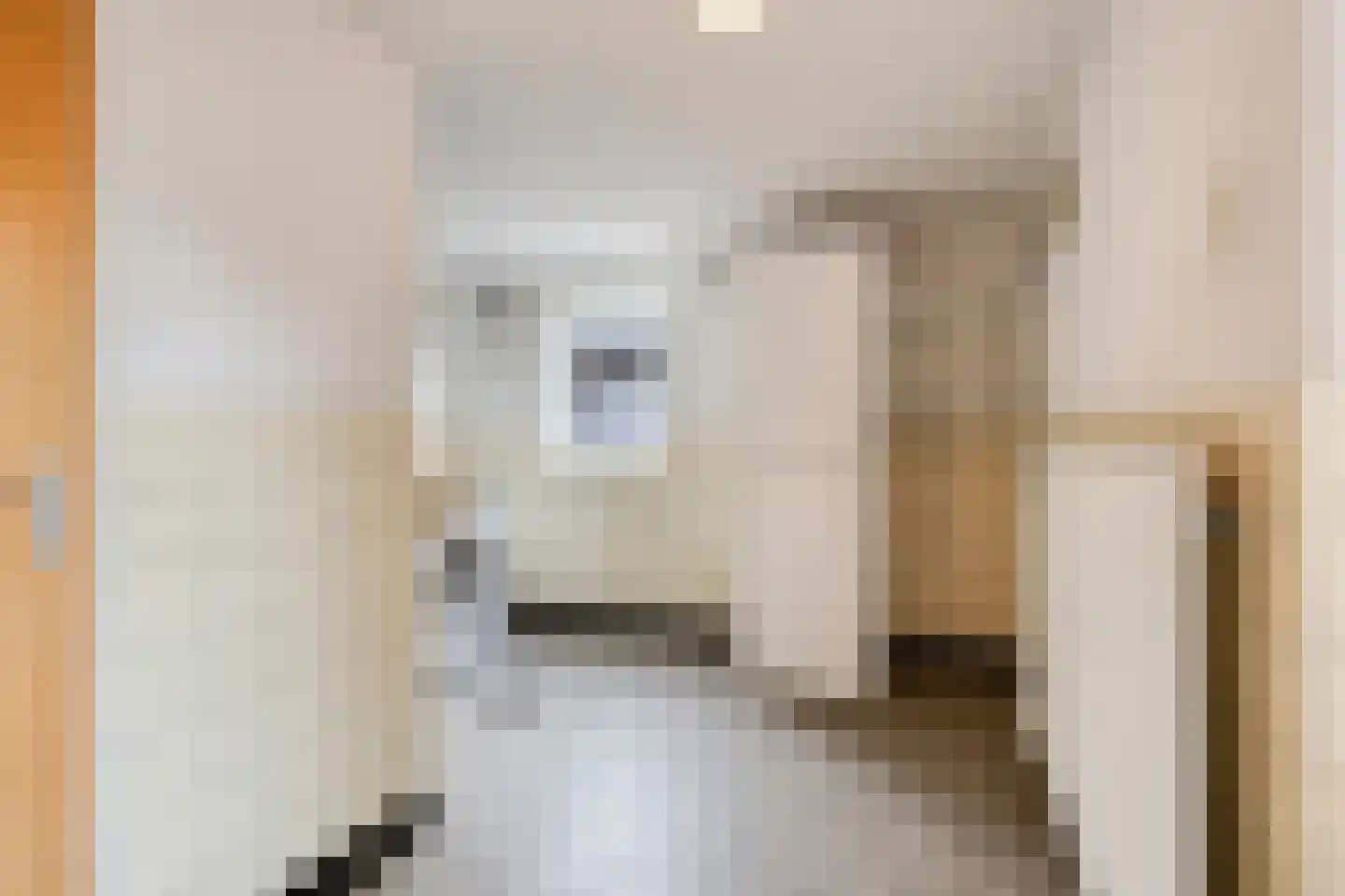 Biezendijk 15 Veghel thumbnail 22