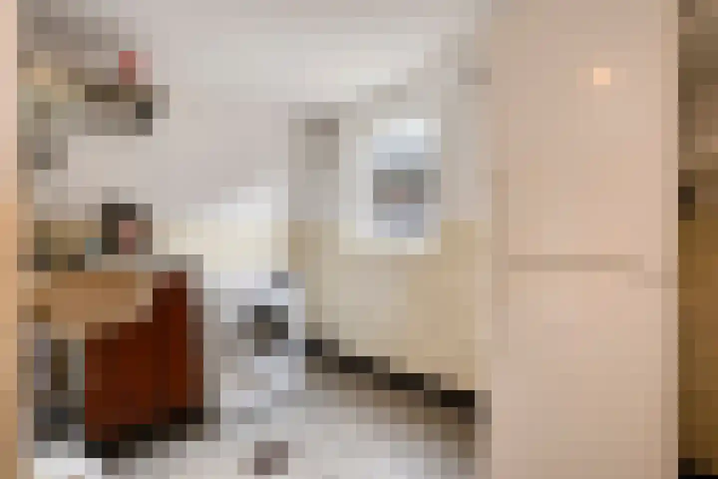 Biezendijk 15 Veghel thumbnail 24