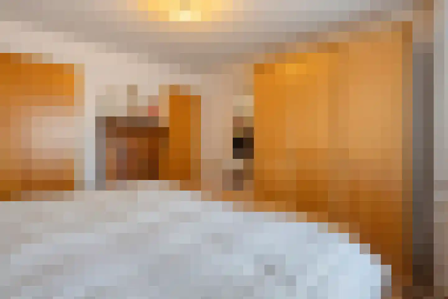 Biezendijk 15 Veghel thumbnail 26