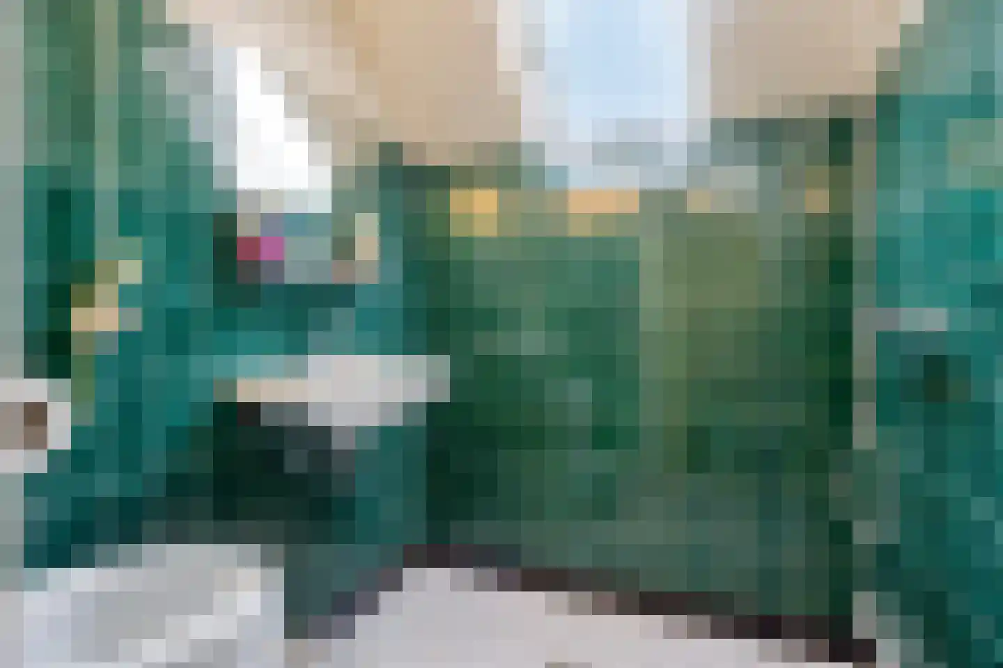 Biezendijk 15 Veghel thumbnail 31