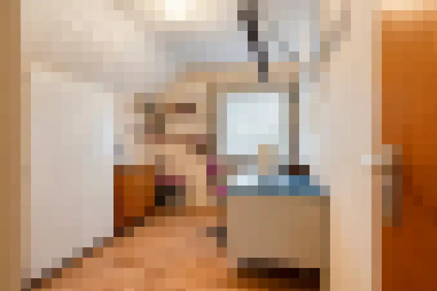 Biezendijk 15 Veghel thumbnail 33