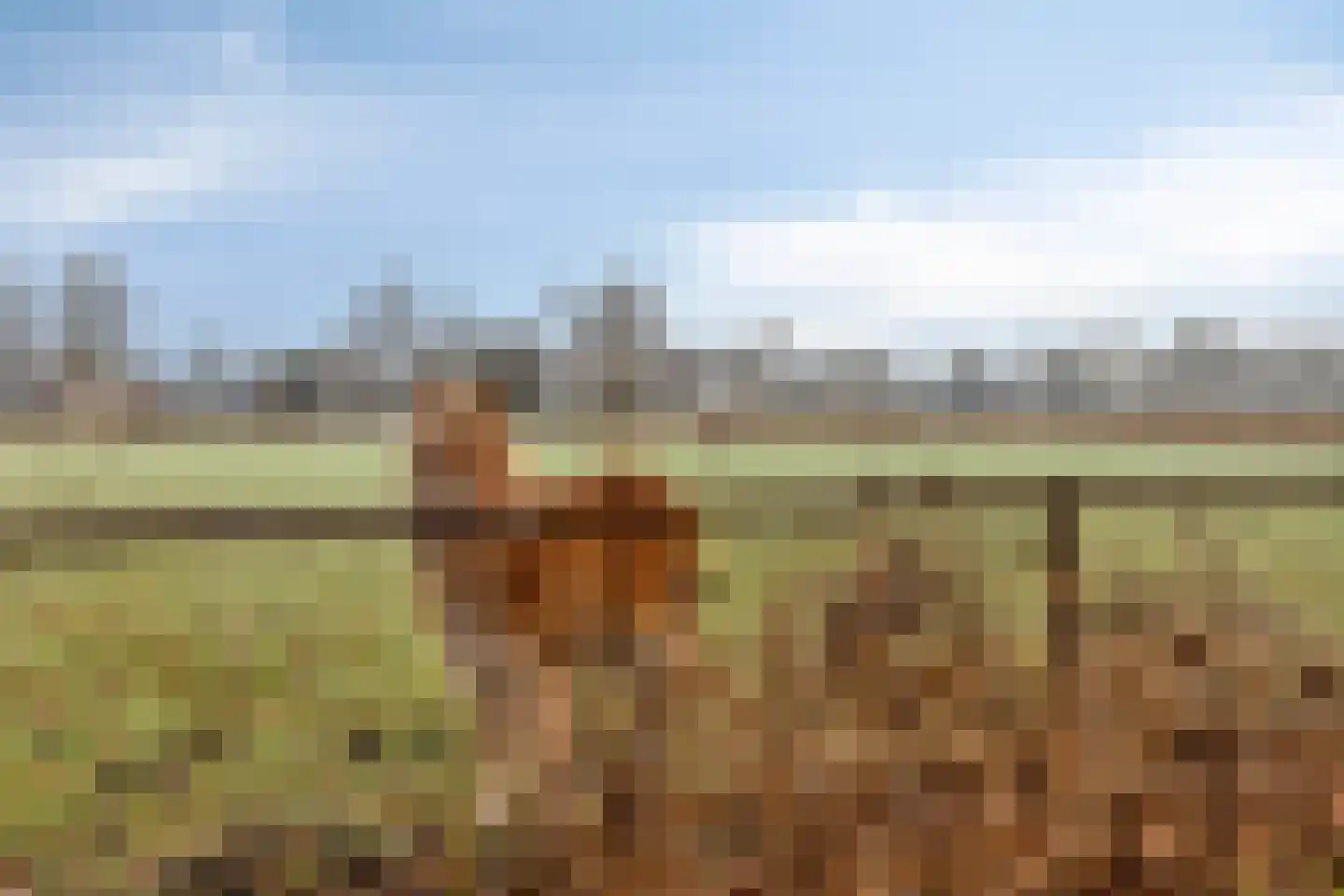 Biezendijk 15 Veghel thumbnail 38