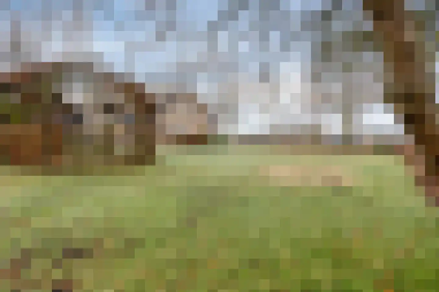 Biezendijk 15 Veghel thumbnail 41