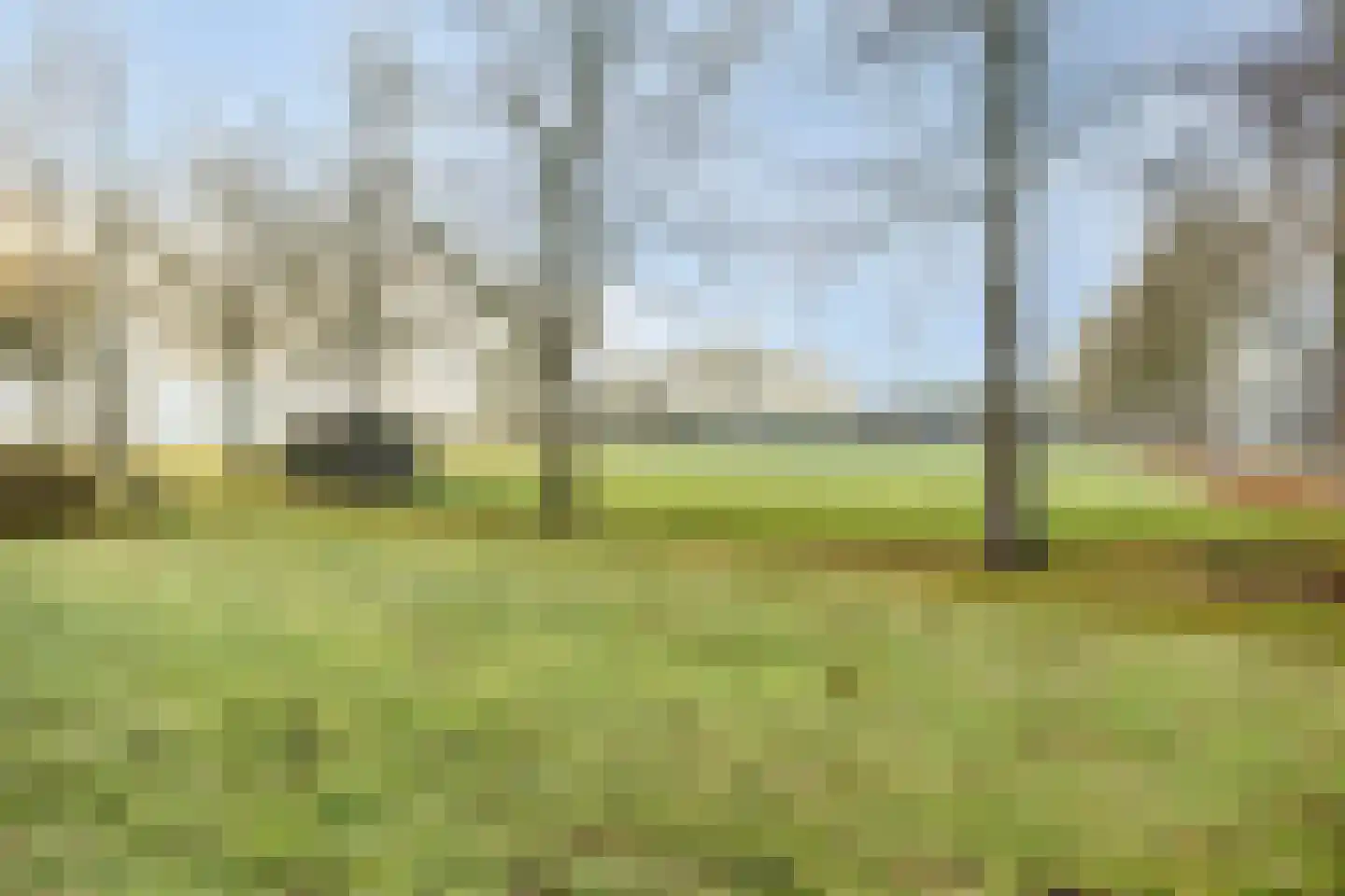 Biezendijk 15 Veghel thumbnail 44