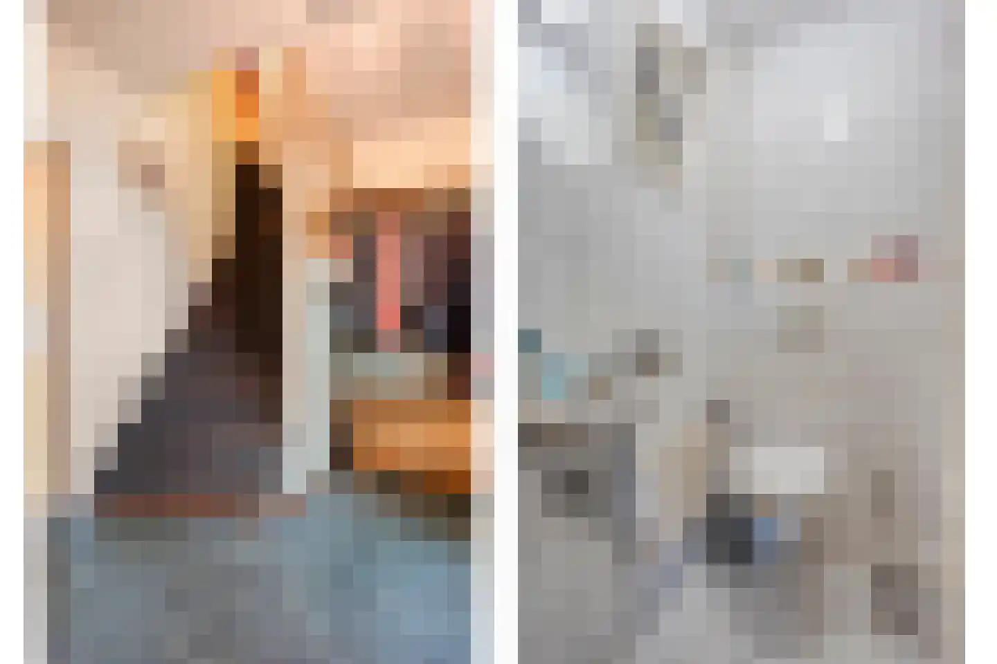 Biezendijk 15 Veghel thumbnail 8