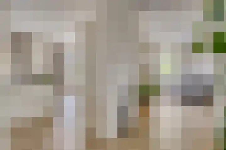 Biezendijk 34 Veghel thumbnail 10