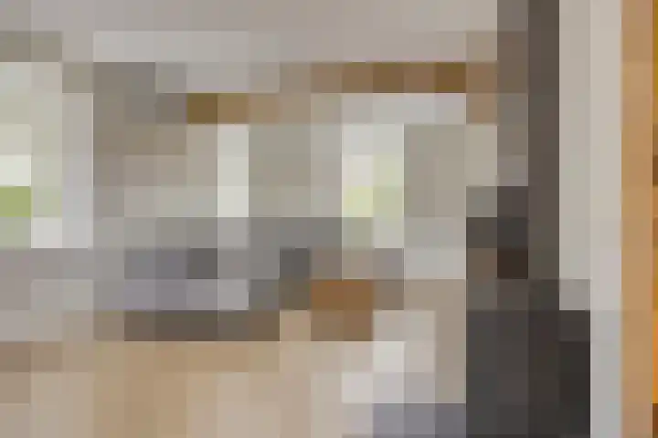 Biezendijk 34 Veghel thumbnail 11