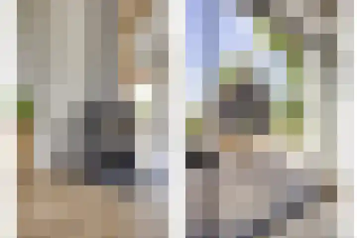 Biezendijk 34 Veghel thumbnail 15