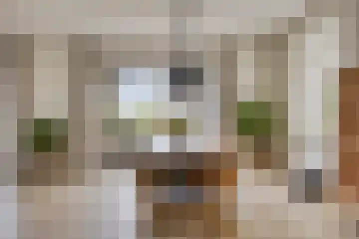Biezendijk 34 Veghel thumbnail 16