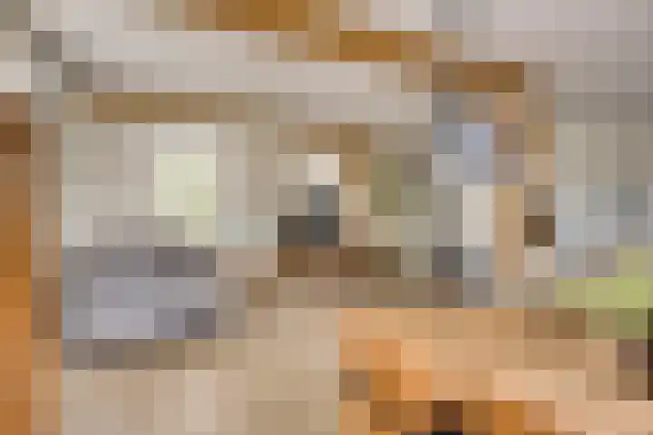 Biezendijk 34 Veghel thumbnail 19