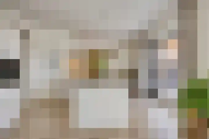 Biezendijk 34 Veghel thumbnail 20
