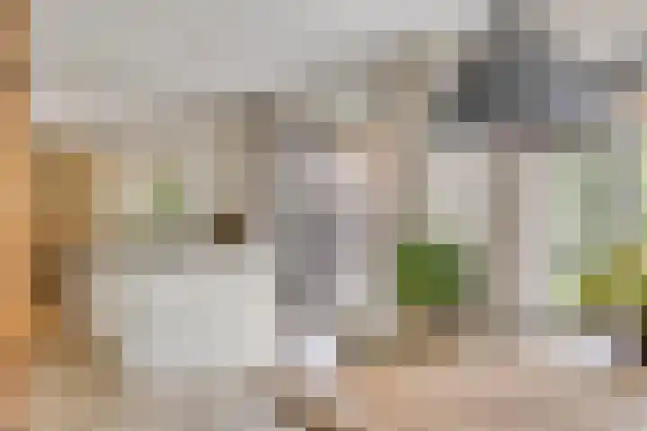 Biezendijk 34 Veghel thumbnail 21