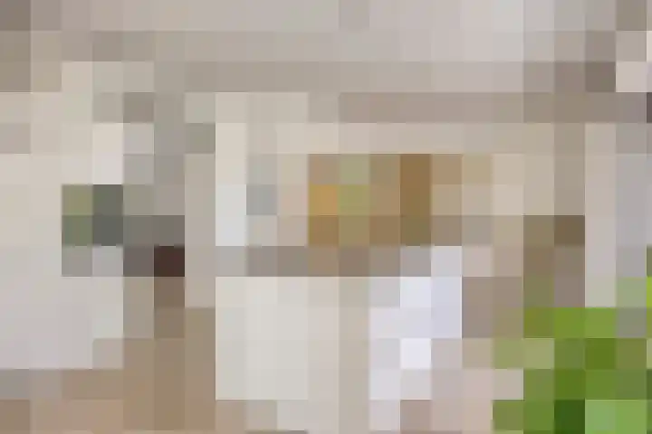 Biezendijk 34 Veghel thumbnail 22