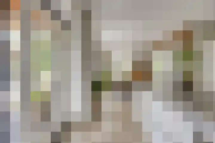Biezendijk 34 Veghel thumbnail 23