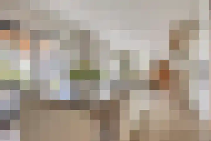Biezendijk 34 Veghel thumbnail 24