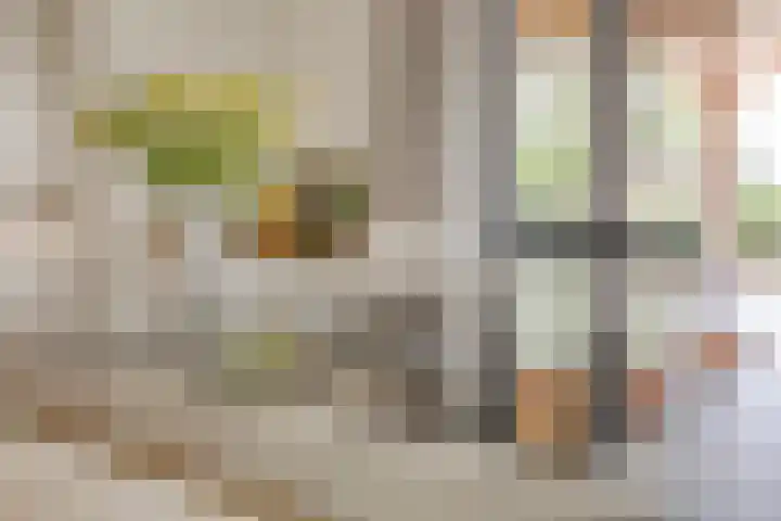 Biezendijk 34 Veghel thumbnail 26