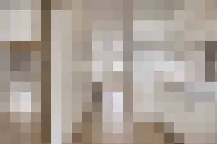 Biezendijk 34 Veghel thumbnail 28