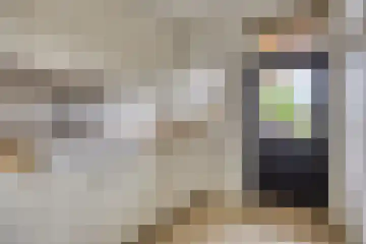 Biezendijk 34 Veghel thumbnail 30