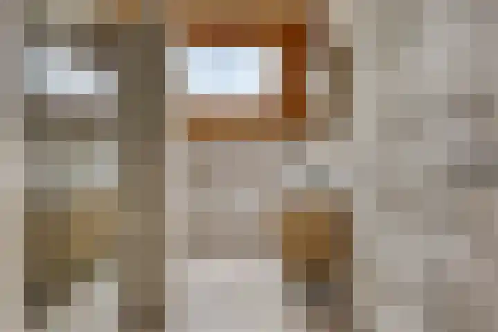 Biezendijk 34 Veghel thumbnail 33