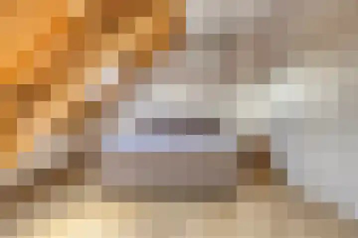 Biezendijk 34 Veghel thumbnail 36