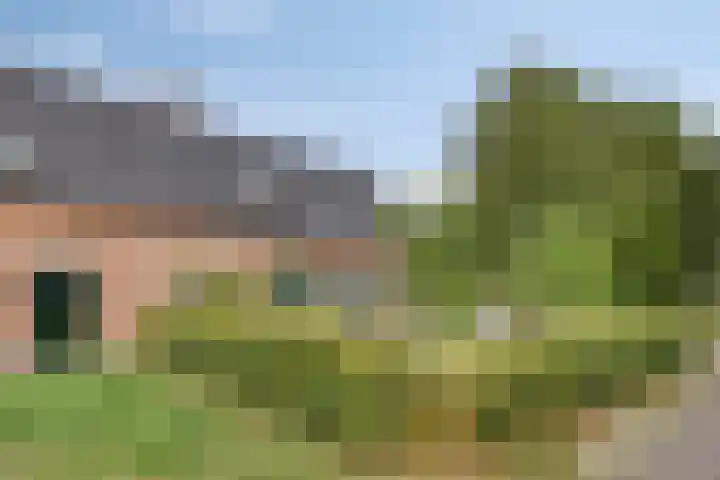 Biezendijk 34 Veghel thumbnail 4