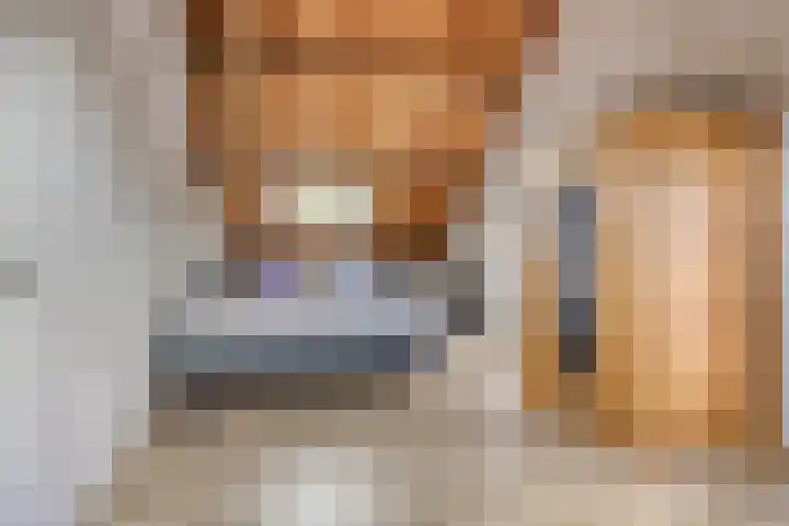 Biezendijk 34 Veghel thumbnail 43