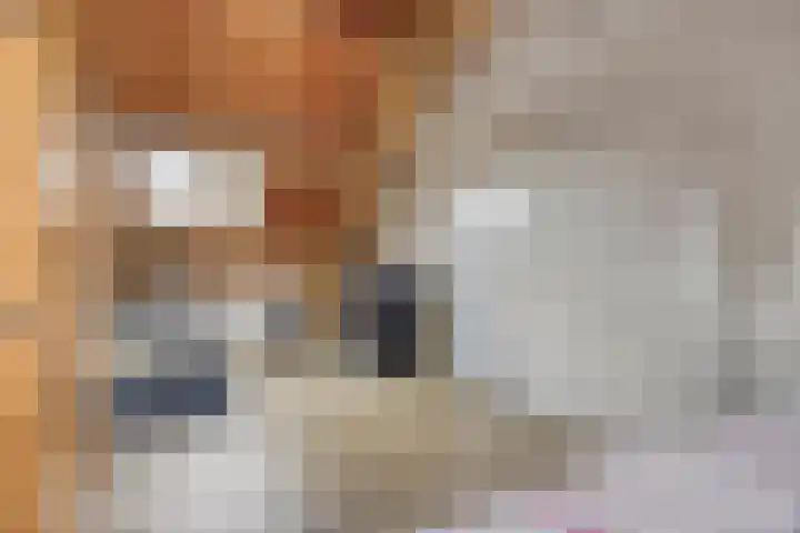 Biezendijk 34 Veghel thumbnail 44