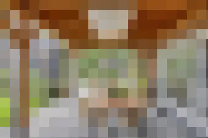 Biezendijk 34 Veghel thumbnail 46