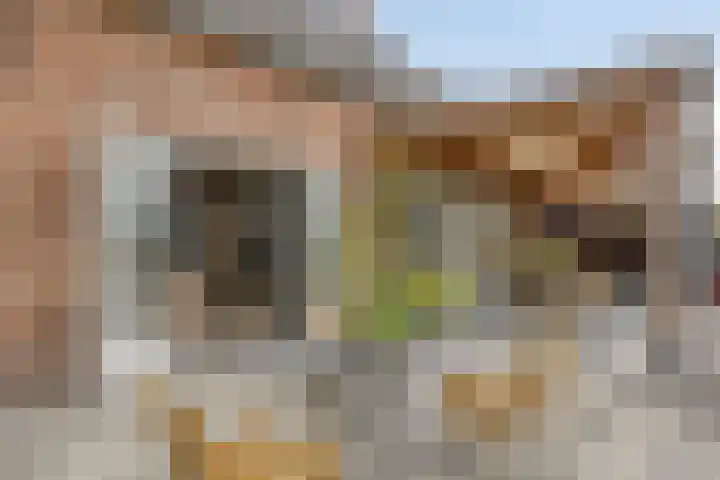 Biezendijk 34 Veghel thumbnail 47