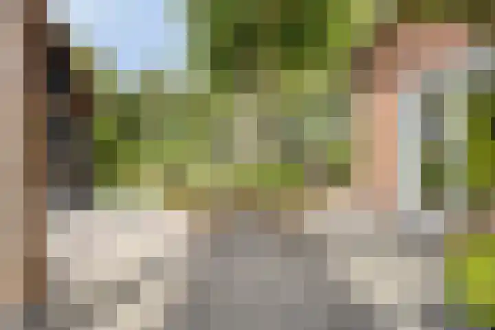 Biezendijk 34 Veghel thumbnail 49