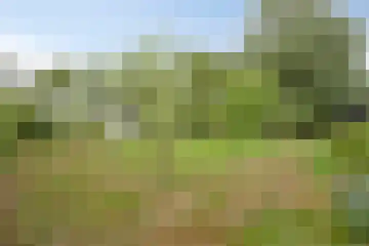 Biezendijk 34 Veghel thumbnail 52