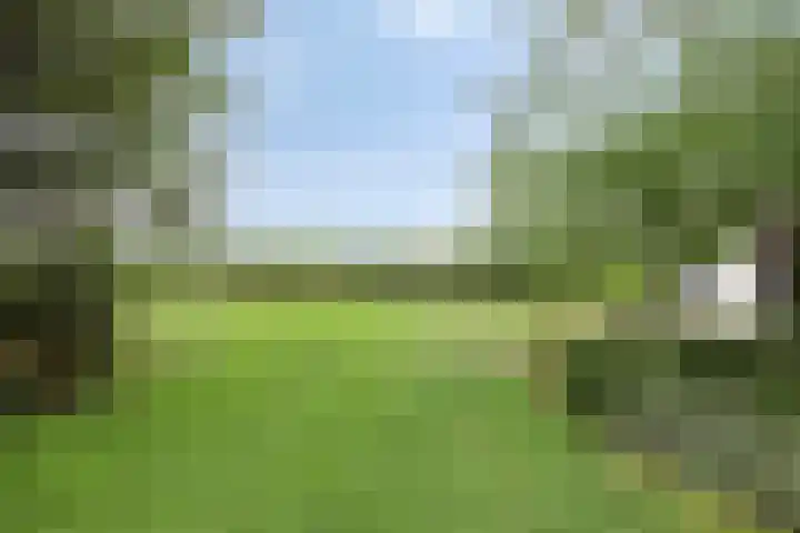Biezendijk 34 Veghel thumbnail 57
