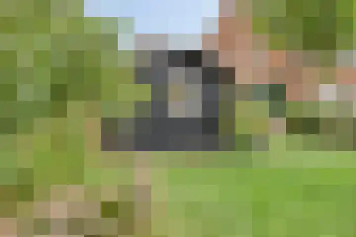 Biezendijk 34 Veghel thumbnail 59
