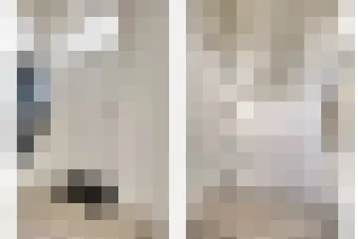 Biezendijk 34 Veghel thumbnail 6