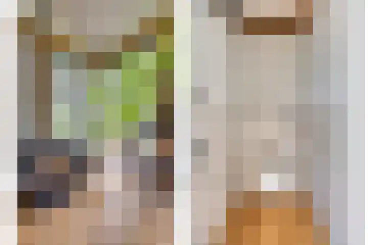 Biezendijk 34 Veghel thumbnail 66