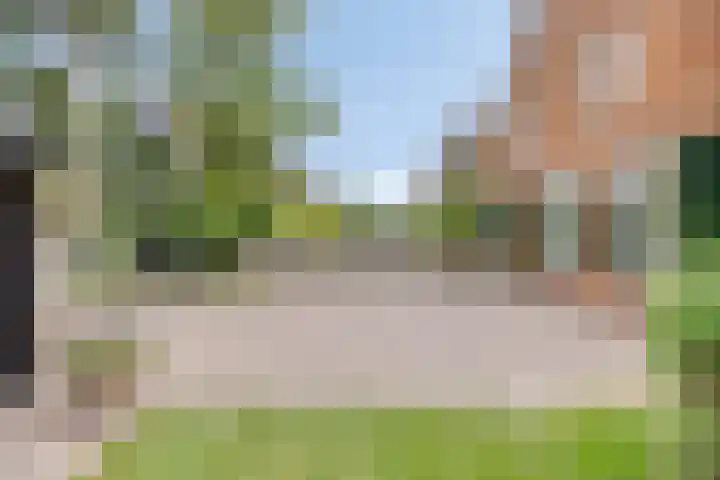 Biezendijk 34 Veghel thumbnail 69