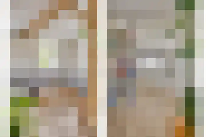 Biezendijk 34 Veghel thumbnail 9