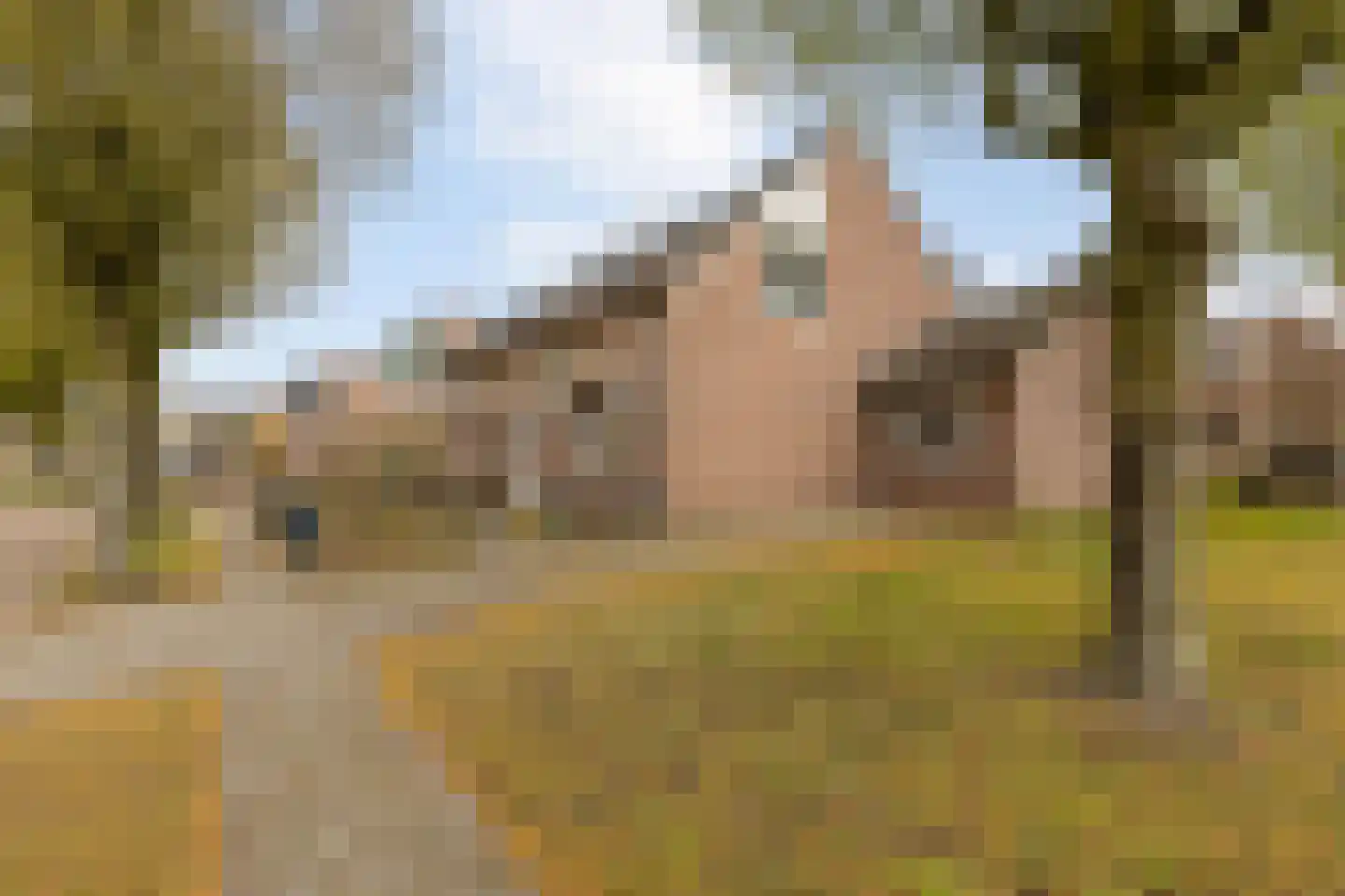Biezendreef 10 in Putte